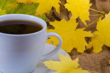 Sonbahar yapraklı kahve kupası sonbahar arka planında. Stok fotoğrafı, kapat.