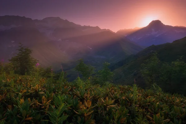 Волшебный вид на Кавказские горы — стоковое фото