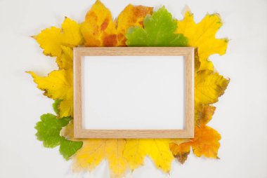 Sonbahar kompozisyonu. Fotoğraf çerçevesi, kurumuş yapraklar. Sonbahar, sonbahar, düzlük, üst manzara