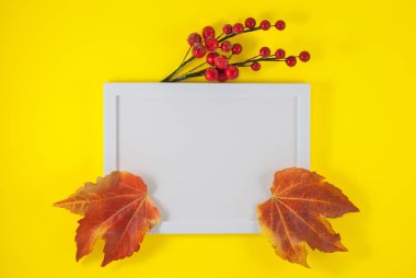 Sonbahar kompozisyonu. Fotoğraf çerçevesi, sarı arkaplanda yapraklar. Sonbahar, sonbahar, düzlük, üst görünüm, kopyalama alanı