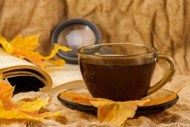 Kahve fincanı, sonbahar yaprakları sonbahar arka planında kitap. Kapat.