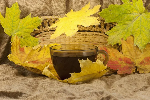 Taza de café con hojas de otoño sobre fondo de otoño. foto, acercamiento — Foto de Stock