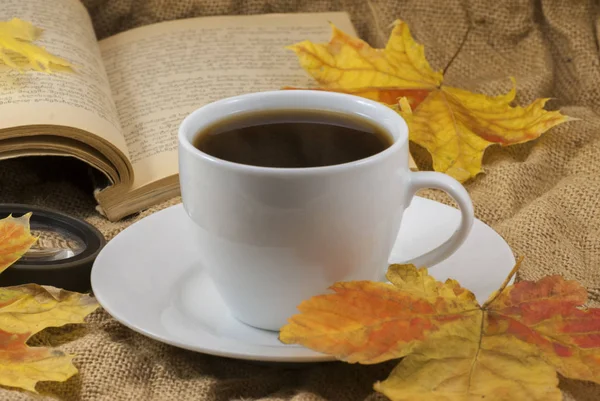 Coffee mug, autumn fall leaves with book on autumn background. close up — Stock Photo, Image