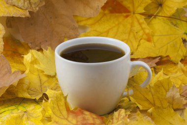 Sonbahar yapraklı kahve kupası sonbahar arka planında. Stok fotoğrafı, kapat.