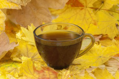 Sonbahar kompozisyonu. Bir fincan kahve, arka planda kurumuş yapraklar. Sonbahar zarif konsepti. Kapat.