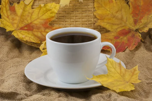 가을 구성. 커피 한잔, 마른 나뭇잎 배경. 가을의우아 한 컨셉. 가까이 서 — 스톡 사진