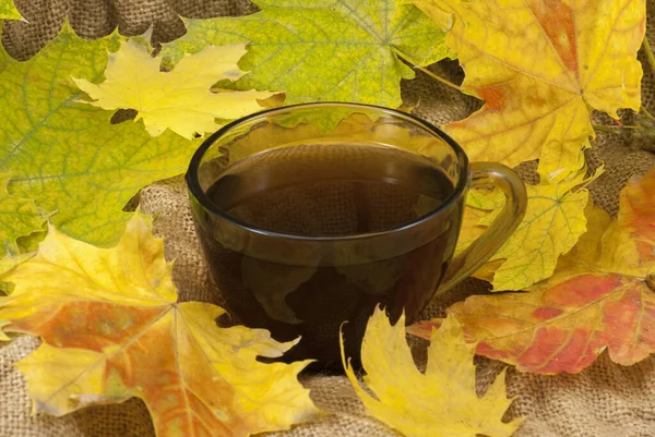 가을 잎이 달린 커피 머그잔 은가 을 배경으로 한다. 주식 사진, 클로즈업 — 스톡 사진