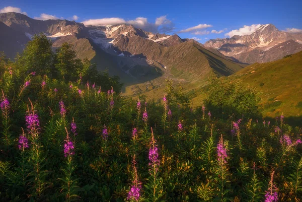 美しい夏ラチャ、グルジアのコーカサス山脈の眺め — ストック写真