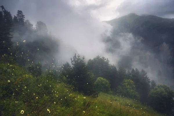 Nach Regen. Landschaft des nebligen Tals in Georgien — Stockfoto