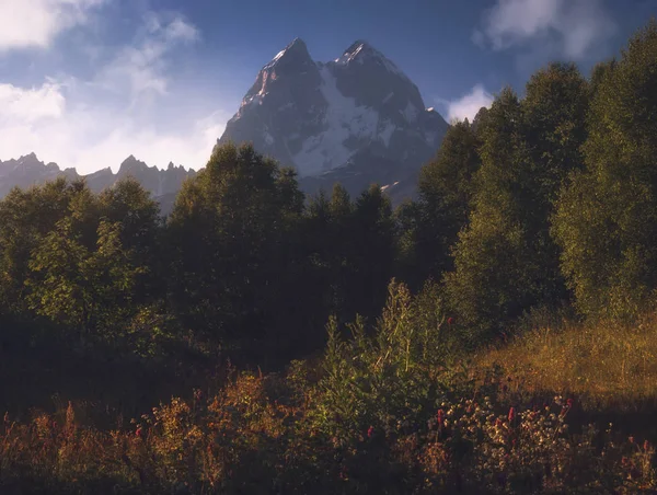 Mount Ushba. Jeden z nejvýznamnějších vrcholů Kavkazských hor — Stock fotografie