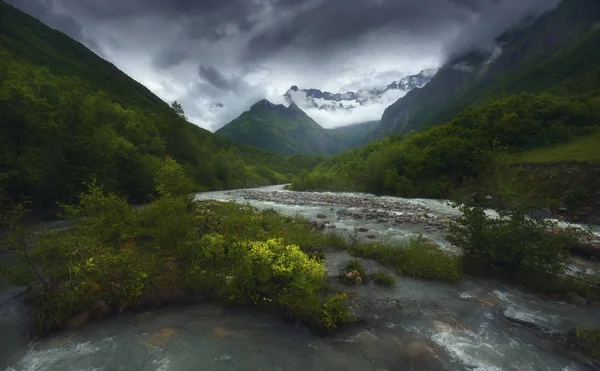 Caucaso. bellissima serata nebbiosa. Fiume di montagna che scorre veloce — Foto Stock