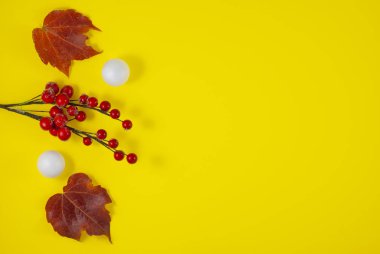 Sonbahar kompozisyonu. Kurumuş sonbahar yapraklarından yapılmış desen. Üst manzara, düz yatış. Sonbahar sezonu arkaplanı, kopyalama alanı