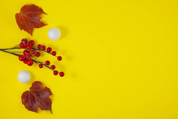 Herfstcompositie Patroon Gemaakt Van Gedroogde Herfstbladeren Bovenaanzicht Vlak Herfstseizoen Achtergrond — Stockfoto