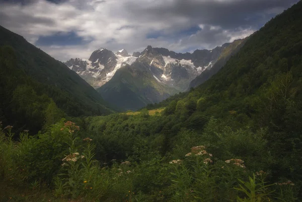 Farbenfroher Ort Den Kaukasusbergen Schöne Outdoor Szene — Stockfoto
