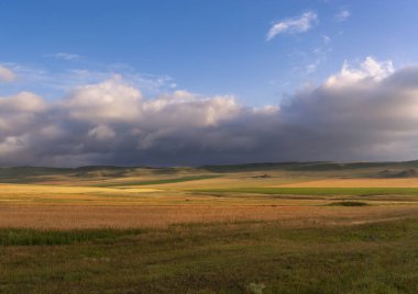 Renkli sonbahar tarlaları ve yağmurdan sonra güzel bulutlar. Georgia mı? Kakheti bölgesi