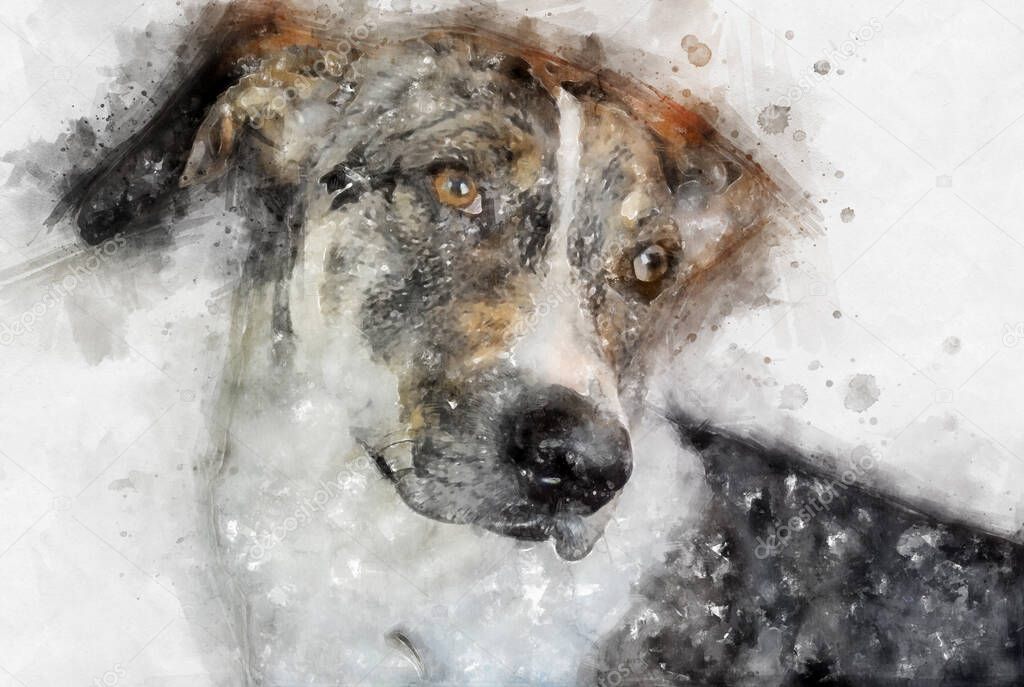 Beautiful watercolor illustration of cute dog on white background