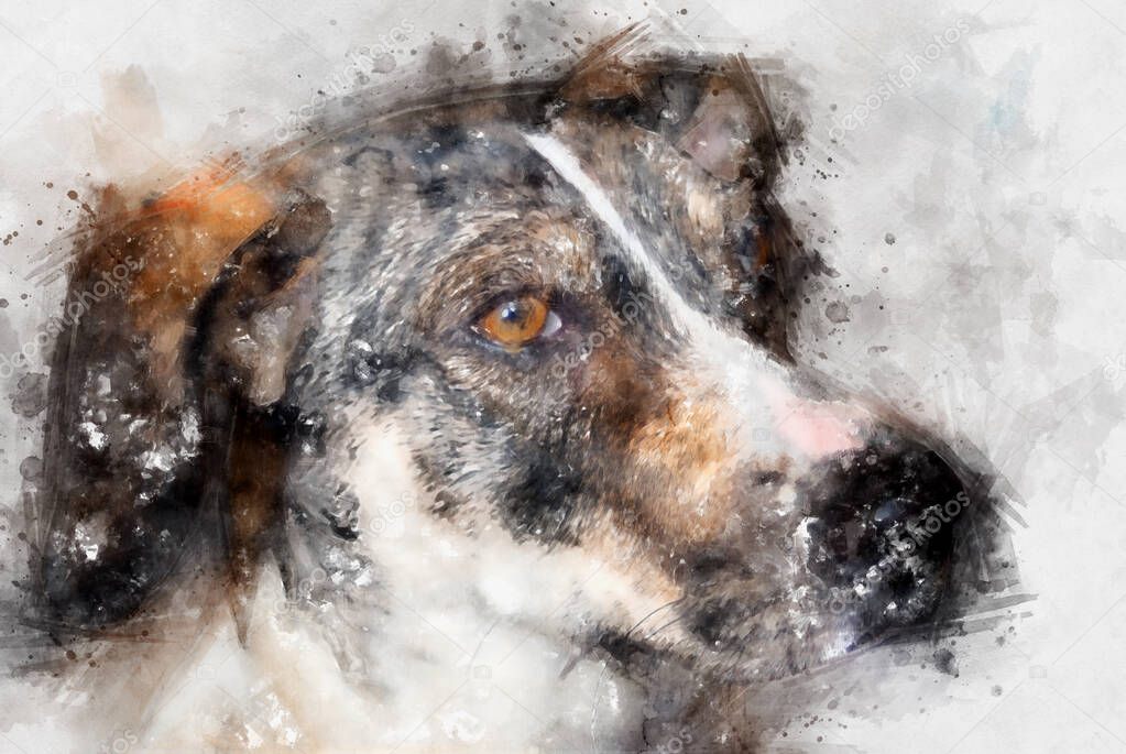 Beautiful watercolor illustration of cute dog on white background