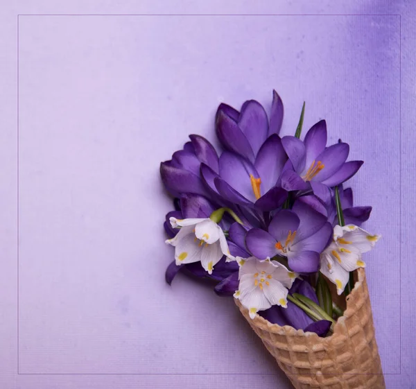 Frühlingsblumen Und Lila Hintergrund Kopierraum — Stockfoto