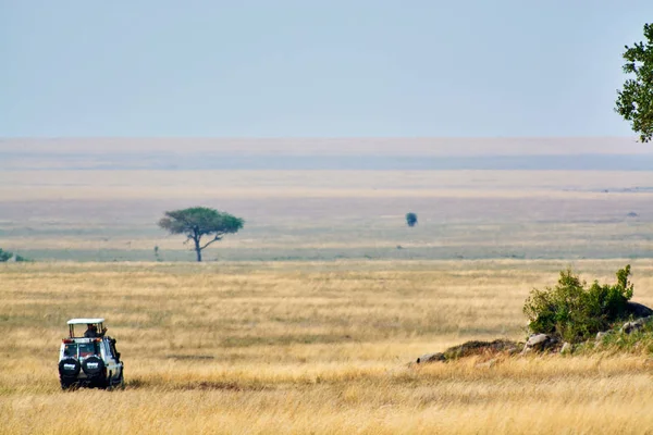 Afrika Güzeli manzara — Stok fotoğraf