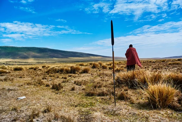 Masai caminando por el área de conservación de Ngorongoro — Foto de Stock