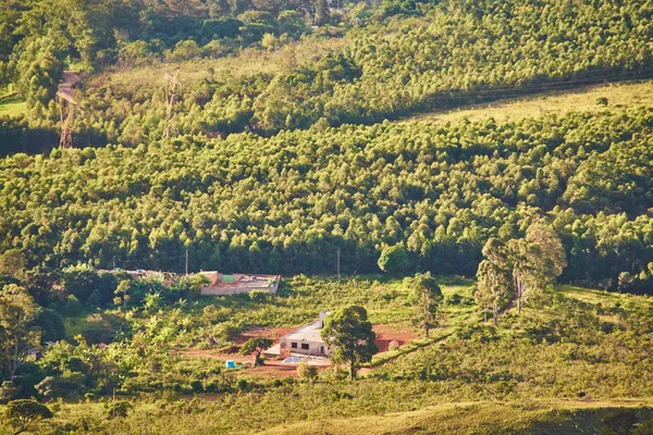 Brasil Minas Gerais Montanhas Árvores Fazenda — Fotografia de Stock