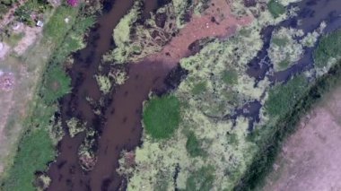 Siem reap nehir güneşli bir günde