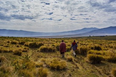 Hikein Ngorongoro koruma alanı Nationnal park Highlands kraterler yolda Masai Kılavuzu ve aşçı ile Nainokanoka köyünden Bulati için. Krater yaylaları (Ngorongoro Highlands) Doğu Afrika'daki Rift Arusha ve Manyar boyunca bir bölgedesiniz