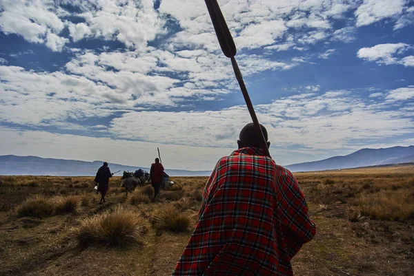 Hikein Ngorongoro Conservation Area Nationnal park Highlands craters en route for Bulati Village from Nainokanoka with Masai Guide and cook. The Crater Highlands (Ngorongoro Highlands) are a region along the East African Rift in the Arusha and Manyar