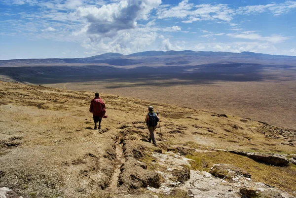 Hikein Ngorongoro Conservation Área Parque Nacional Cráteres Las Highlands Ruta — Foto de Stock