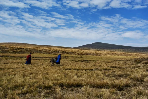 Hikein Ngorongoro Conservation Area Nationnal park Highlands craters en route for Bulati Village from Nainokanoka with Masai Guide and cook. The Crater Highlands (Ngorongoro Highlands) are a region along the East African Rift in the Arusha and Manyar