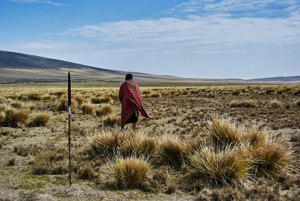 Hikein Ngorongoro Conservation Area Nationnal park Highlands craters en route for Bulati Village from Nainokanoka with Masai Guide and cook. The Crater Highlands (Ngorongoro Highlands) are a region along the East African Rift in the Arusha and Manyar