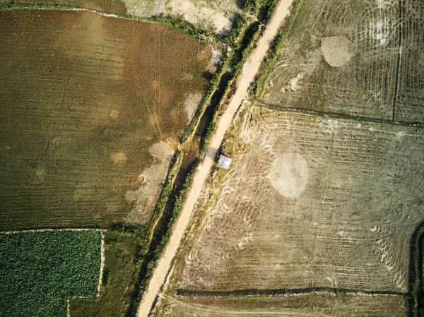 Vista aerea della fattoria di loto — Foto Stock