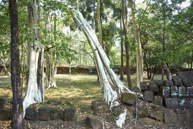 Prasat Banteay pir temizleyin Tapınağı Angkor dönemi