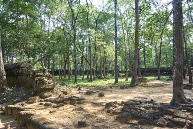 Prasat Chrap Tapınağı Angkor dönemi