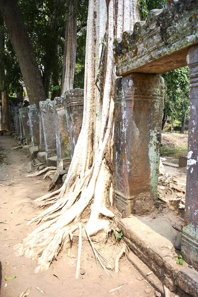 Prasat Thom Prang templu Angkor Era — Fotografie, imagine de stoc