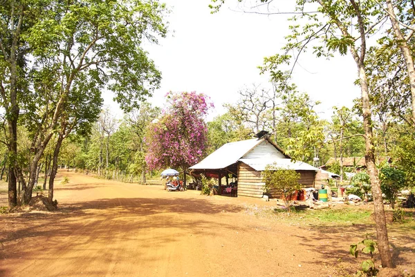 Prasat Thom saldırın Tapınağı Angkor dönemi