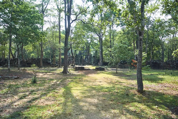 Prasat Banteay pir temizleyin Tapınağı Angkor dönemi