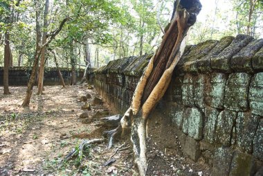 Prasat Damrei Tapınağı Angkor dönemi