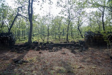 Prasat Neang Khmau Tapınağı Angkor dönemi