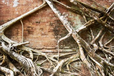 Prasat çocuk arabası Tapınak Koh Ker kompleksi