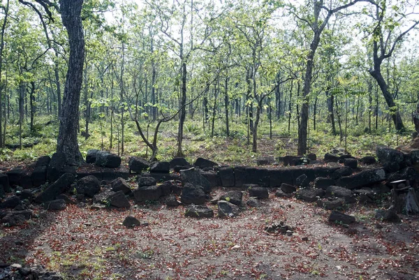 Prasat Neang Khmau Tapınağı Angkor dönemi — Stok fotoğraf