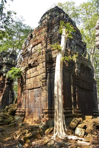 Prasat Chrap Tapınağı Angkor dönemi — Stok fotoğraf