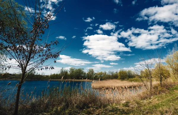 Весенний Пейзаж Озеро Мертвый Трава Голубое Небо — стоковое фото