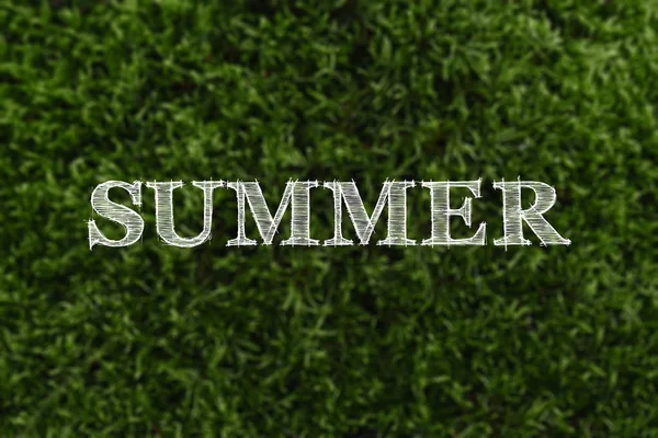 Word Summer Written Background Blurred Green Moss Concept Vacation Summer — Stock Photo, Image