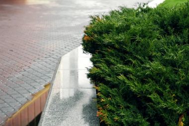 Şehir Schengen, Lüksemburg, yaz aylarında eski bir manastırın görünümü