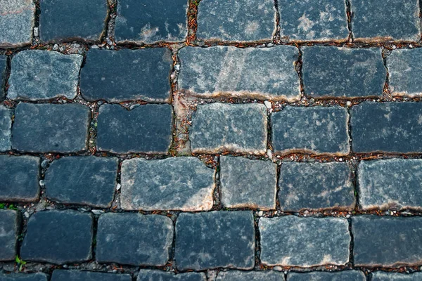 Adoquines azules — Foto de stock © joachimopelka #10730836