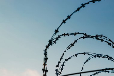 Mavi gökyüzüne karşı dikenli tel yakın çekim. Sonuç, özgürlüğün kısıtlaması.