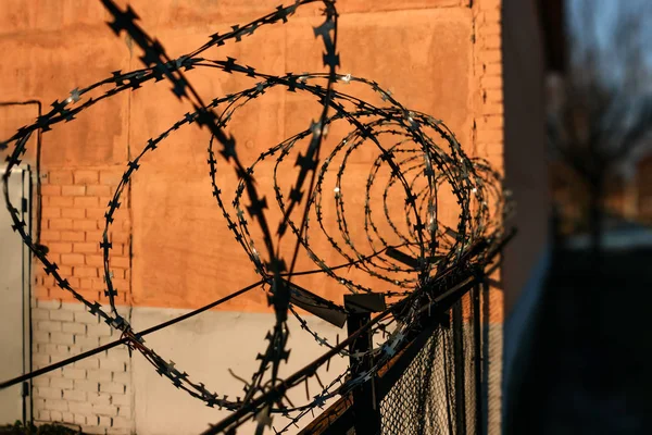 Stacheldraht Großaufnahme Schlussfolgerung Einschränkung Der Freiheit — Stockfoto