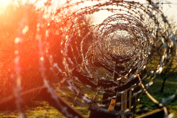 Stacheldraht Großaufnahme Schlussfolgerung Einschränkung Der Freiheit — Stockfoto