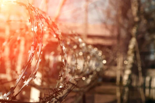 Taggtråd Närbild Slutsats Begränsning Friheten — Stockfoto